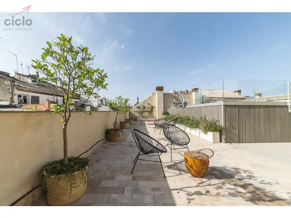 Terraza de Piso de alquiler en Sevilla con Terraza, Piscina y Amueblado