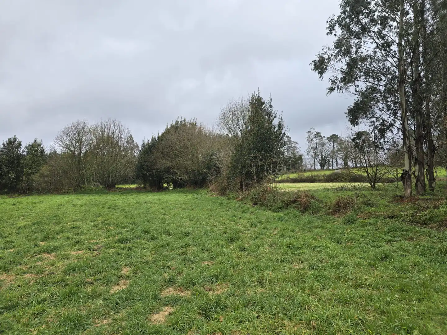 Finca rústica en venda en Cerceda amb Jardí privat