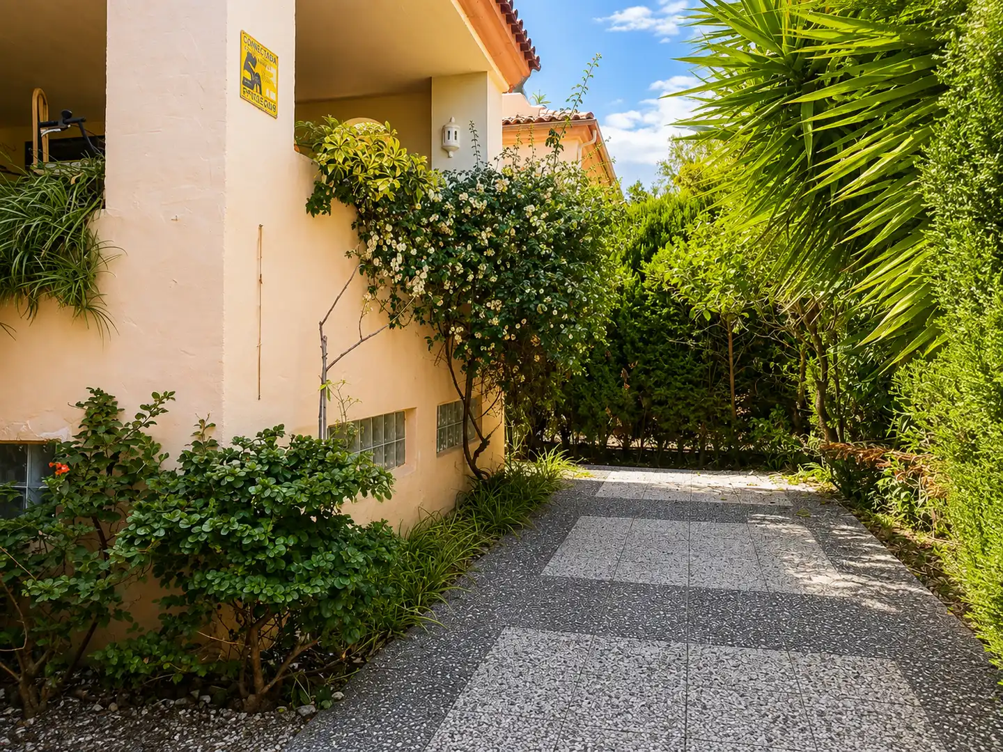 Habitatge amb terrassa en venda a San Pedro de Alcántara, imagen 42