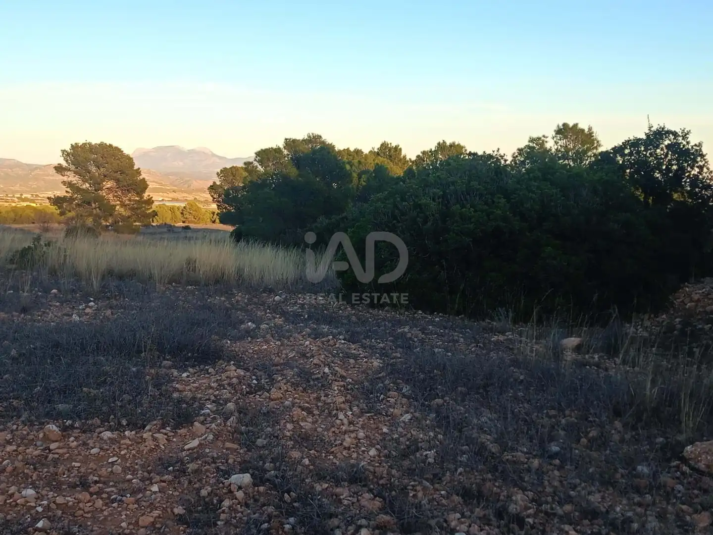 Terreno en venta en Lorca