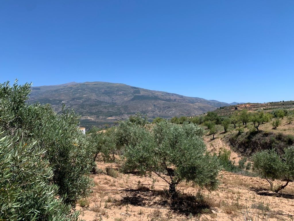 Finca rústica en venda a El Valle
