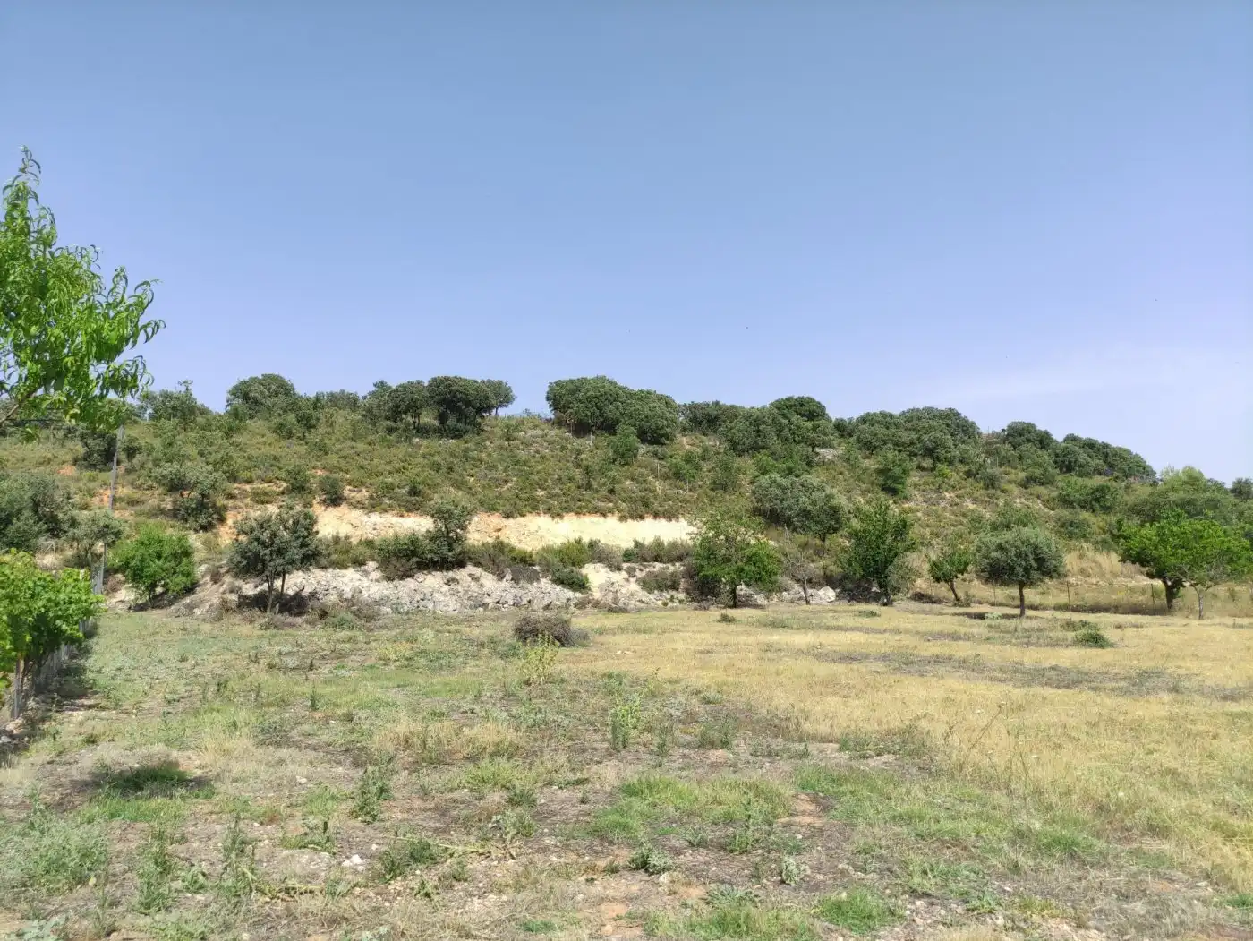 Terreny residencial en venda a Loranca de Tajuña, imagen 50