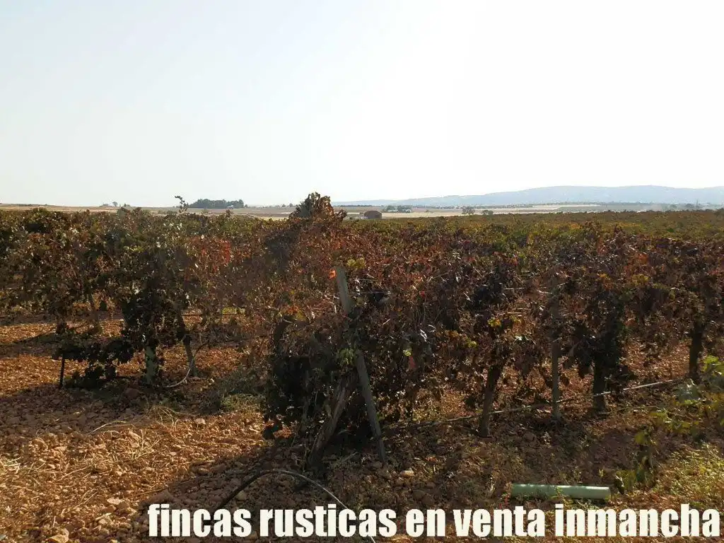 Terrenys i solars en venda a Almagro, imagen 22