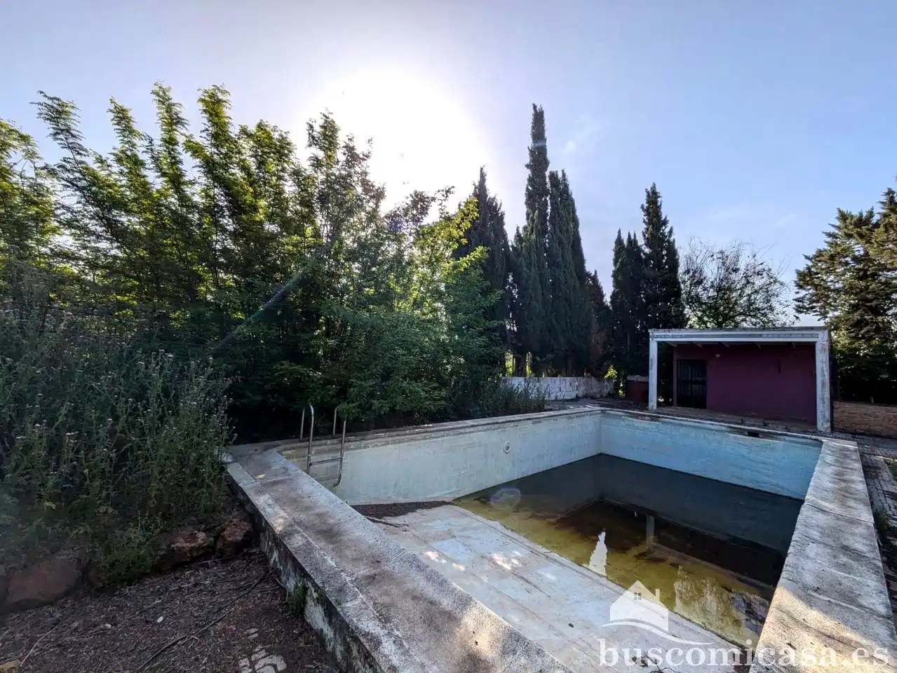 Piscina de Finca rústica en venda en Linares amb Jardí privat i Piscina