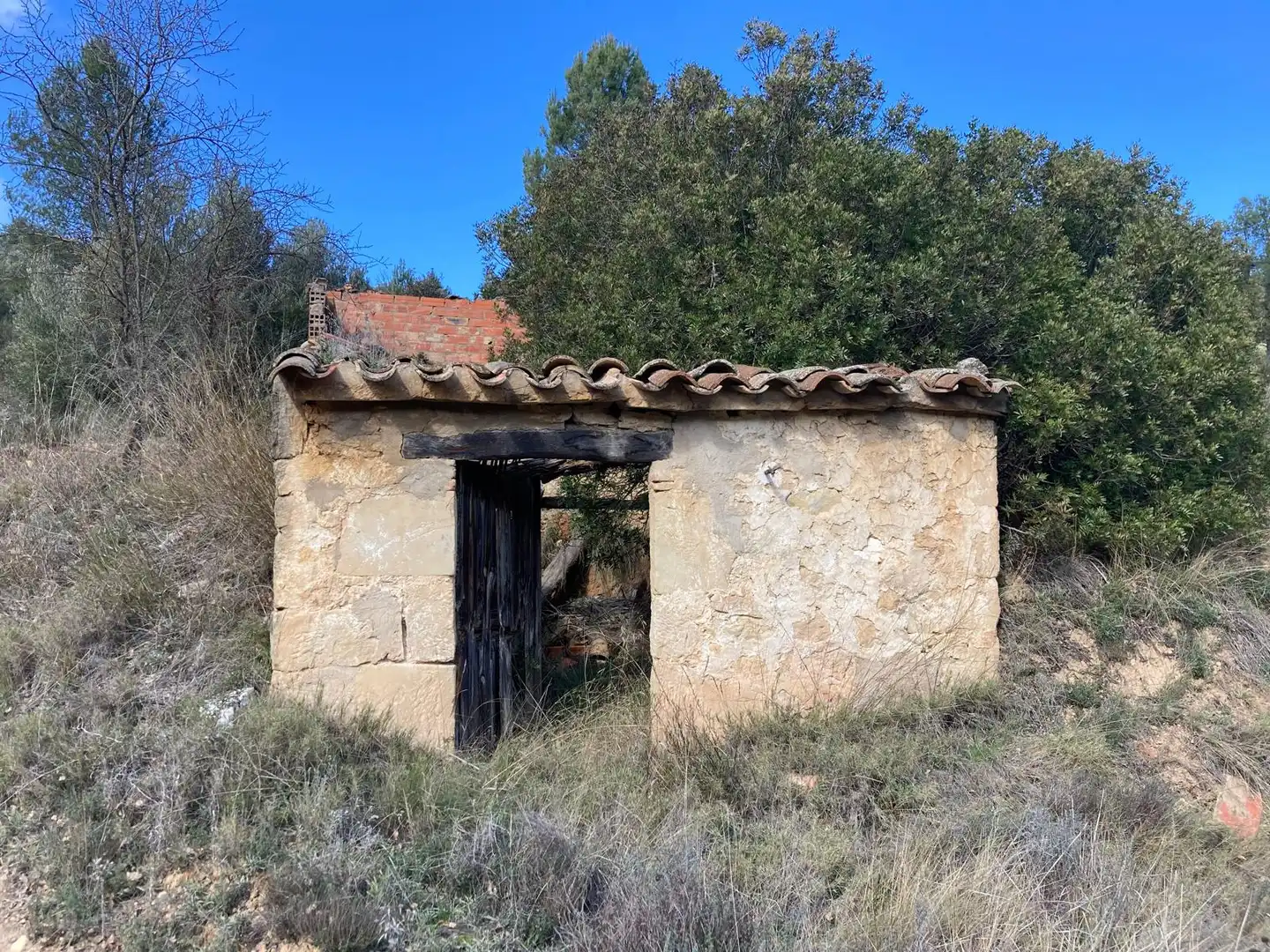 Terreni e lotti in vendita a Calaceite