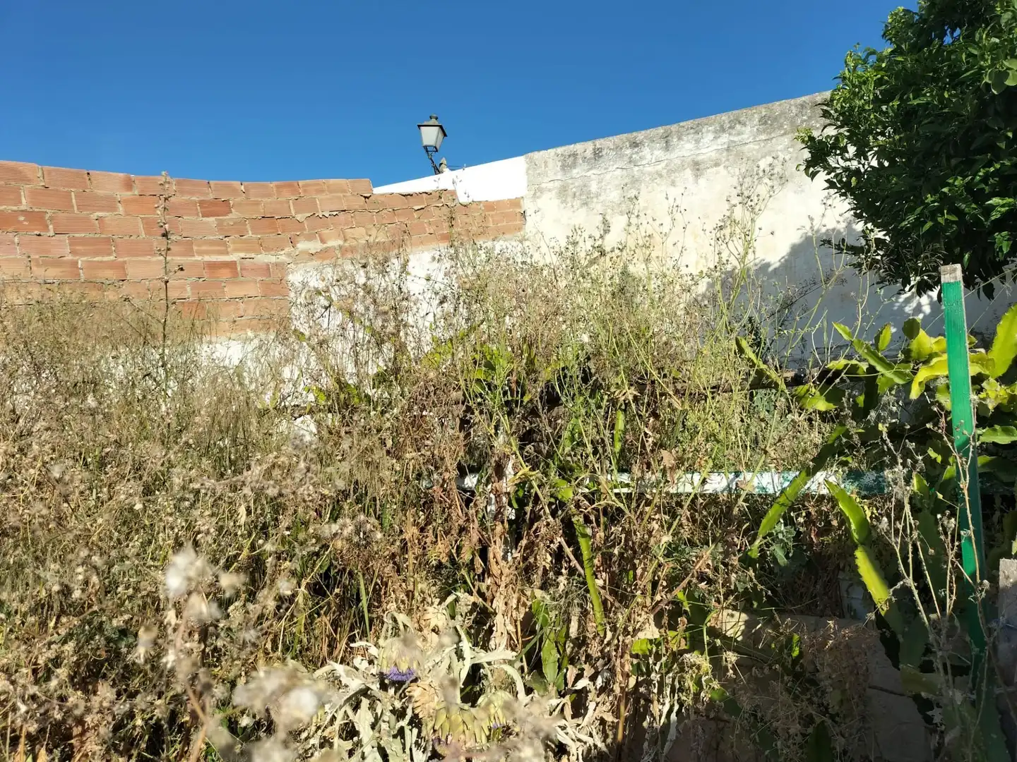 Casa in vendita a Cártama pueblo, imagen 18