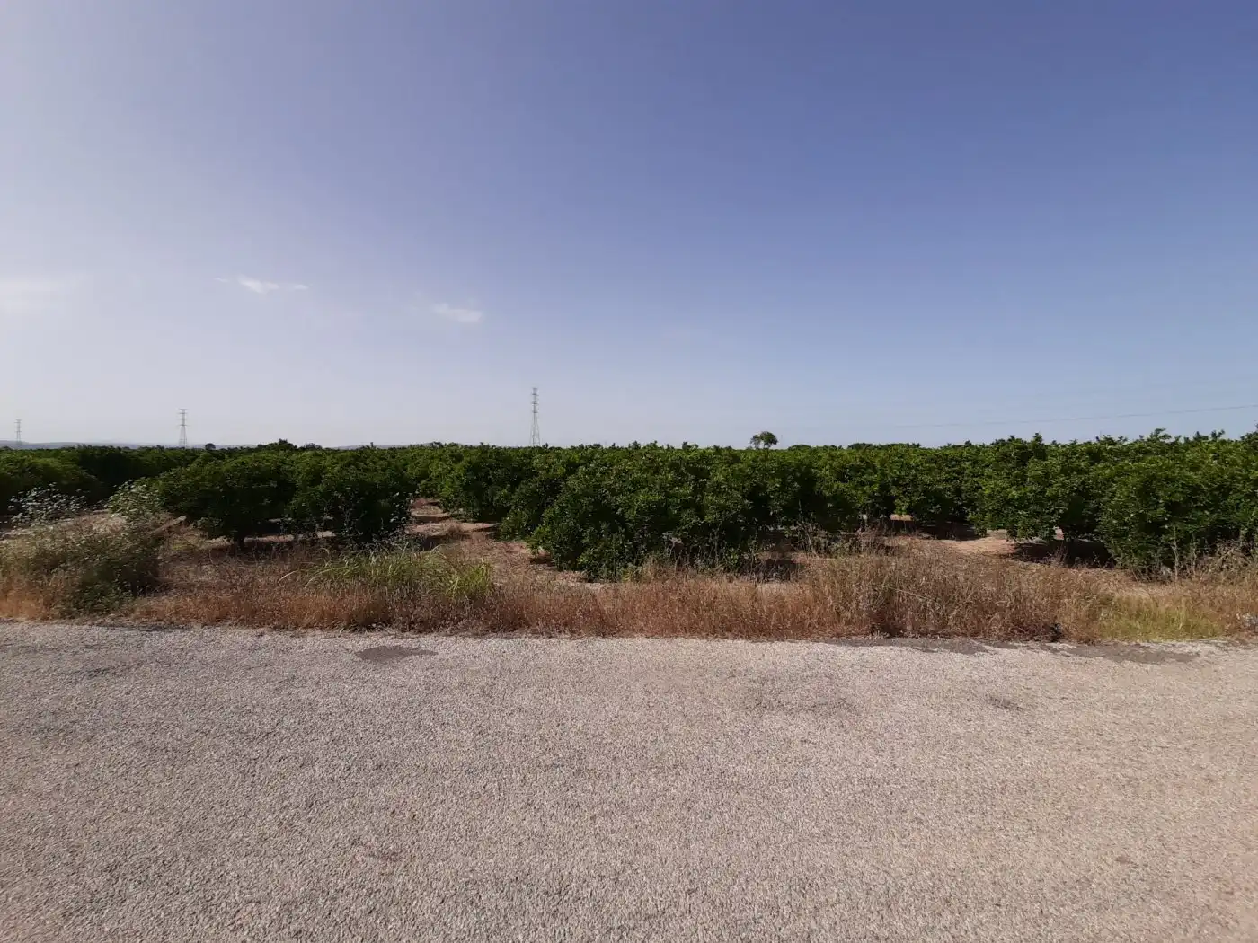 Terreny rústic en venda a Urbanitzacions i Pedanies Nord, imagen 2