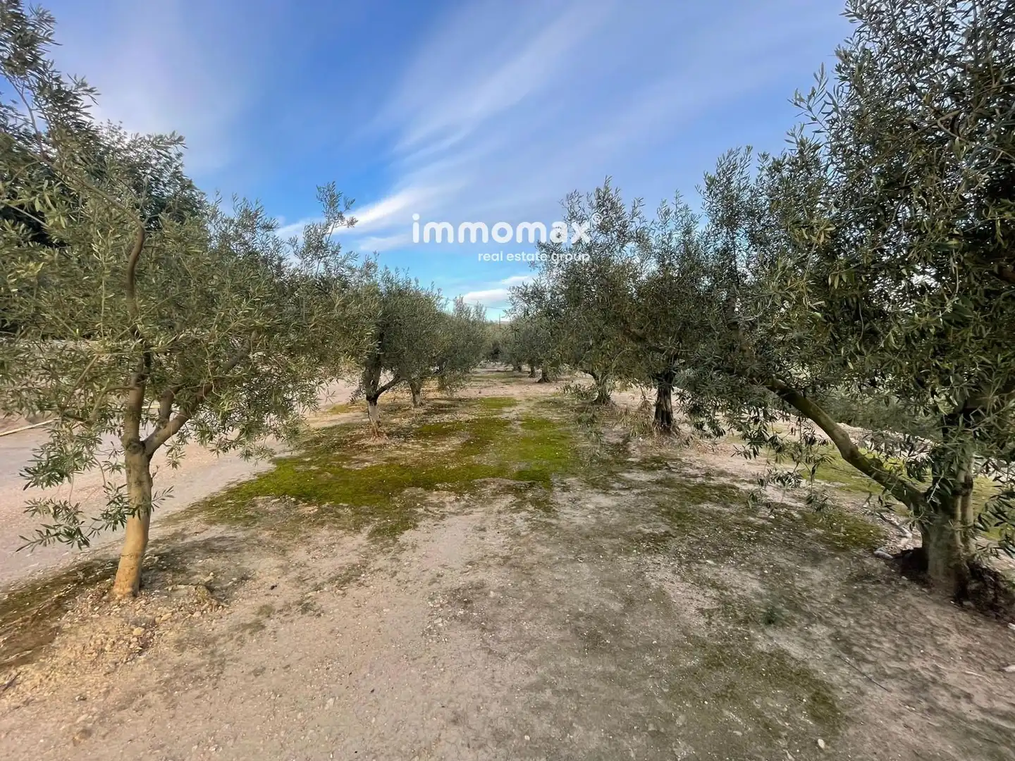 Residencial en venta en Tortosa