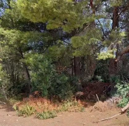 Rustikales Grundstück zum Verkauf in Partida La Mina, imagen 7