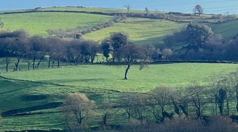 Foto 3 de Casa o xalet en venda a Lu-p-0103, 4, A Pastoriza , Lugo