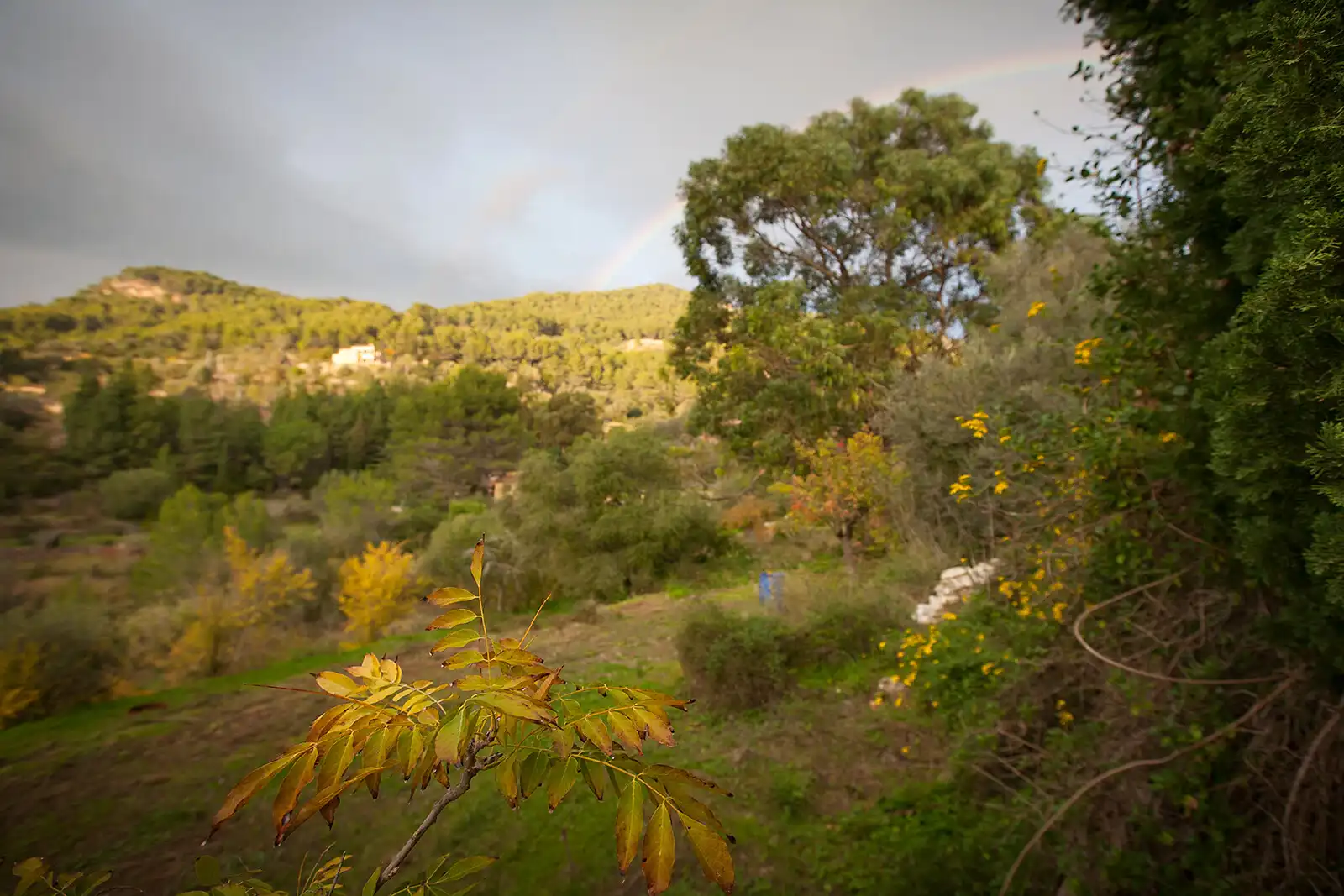 House with terrace for sale in Esporles, imagen 40