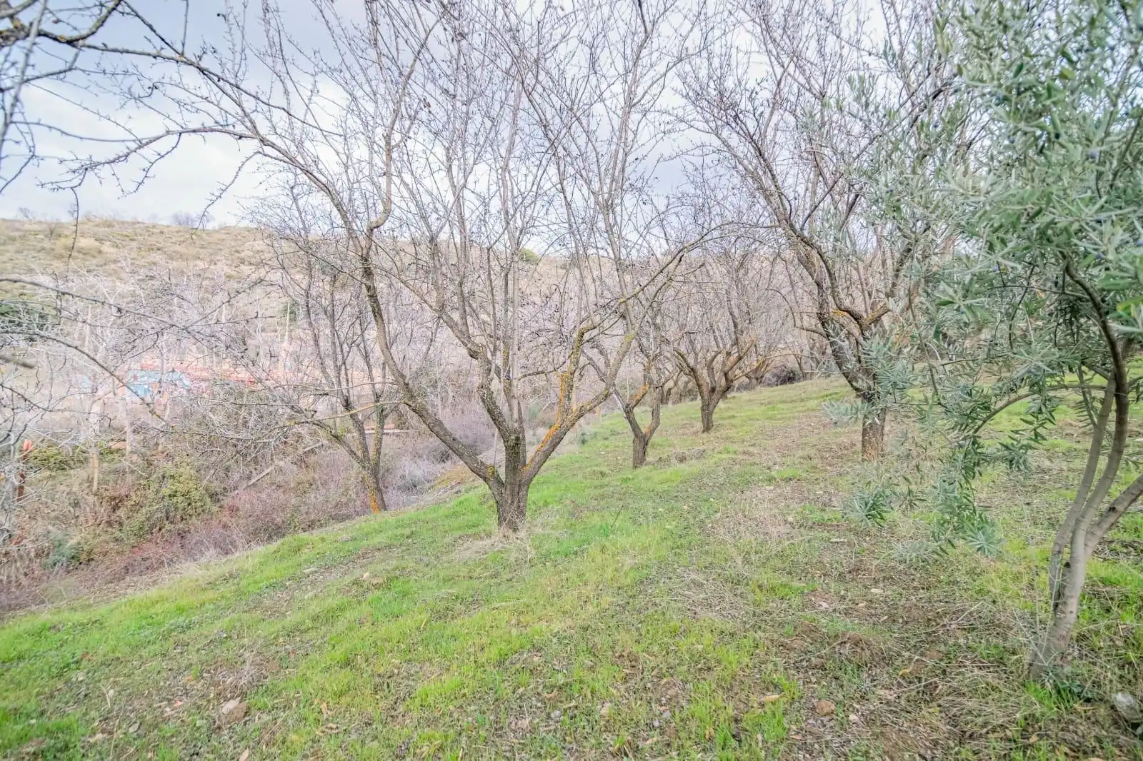 Mini appartamento in vendita a Pinos Genil, imagen 18