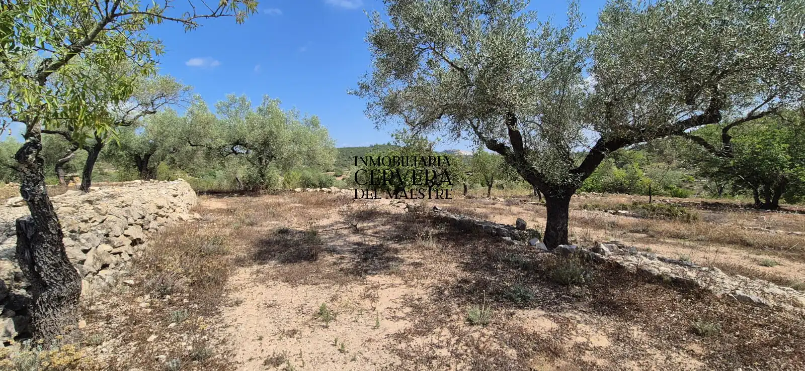 Terreno rustico in vendita a Cervera del Maestre, imagen 12