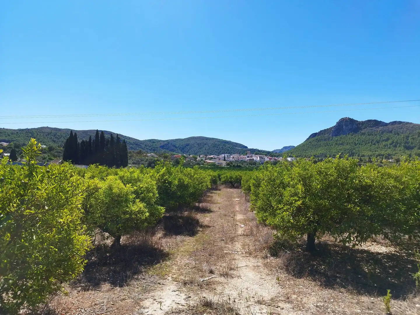 Residential land for sale in Orba, imagen 10