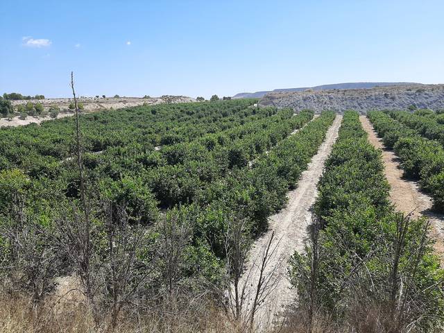 Terreno en Venta en Ciudad de Asís