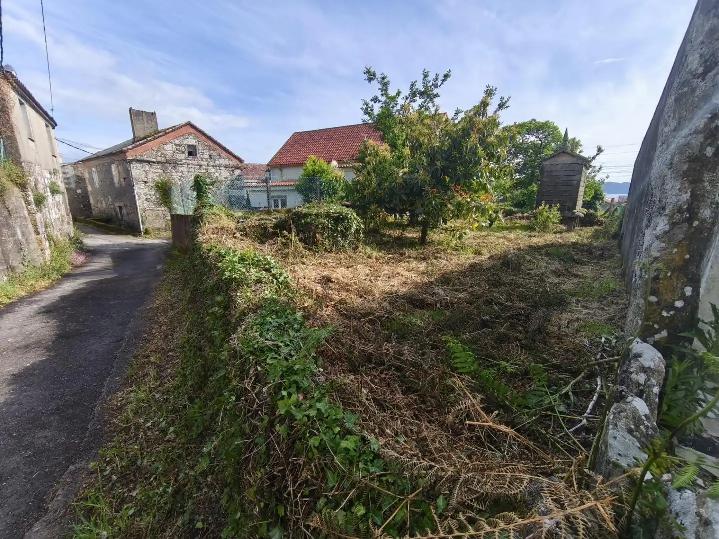 Finca rústica en venta en Muros