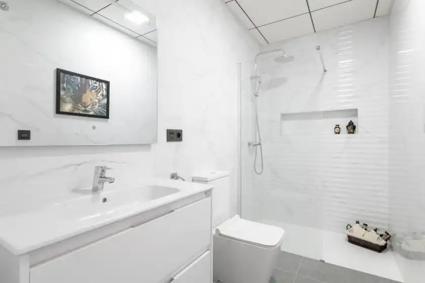Bany de Casa o xalet en venda en Daya Nueva amb Jardí privat i Terrassa