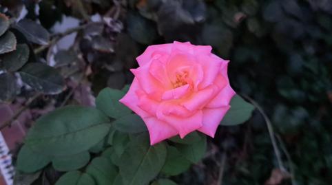 Foto 5 de Casa adosada en venda a Ciudad Aljarafe, Mairena del Aljarafe