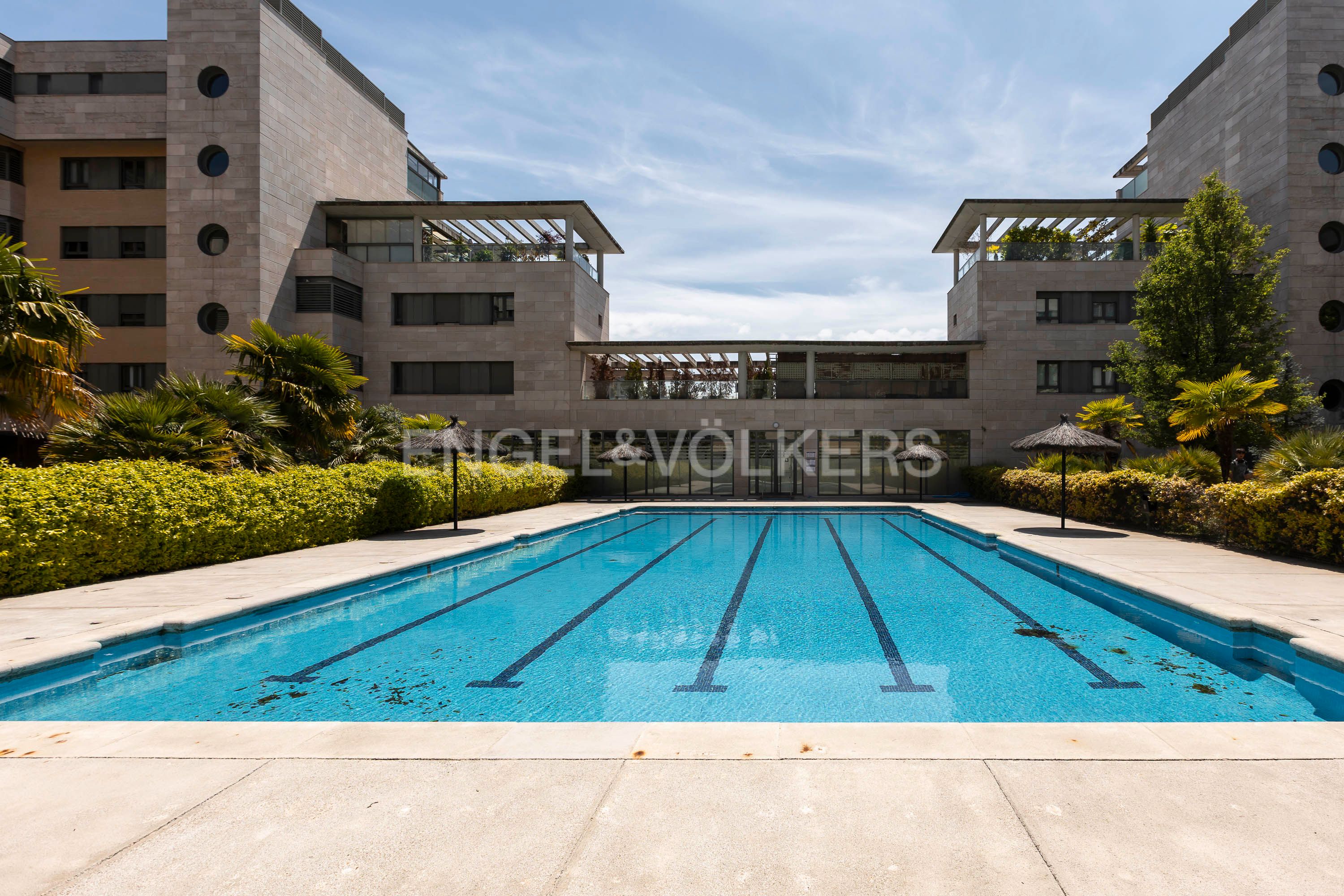 Piscina de Apartament en venda en  Madrid Capital amb Aire condicionat, Calefacció i Parquet