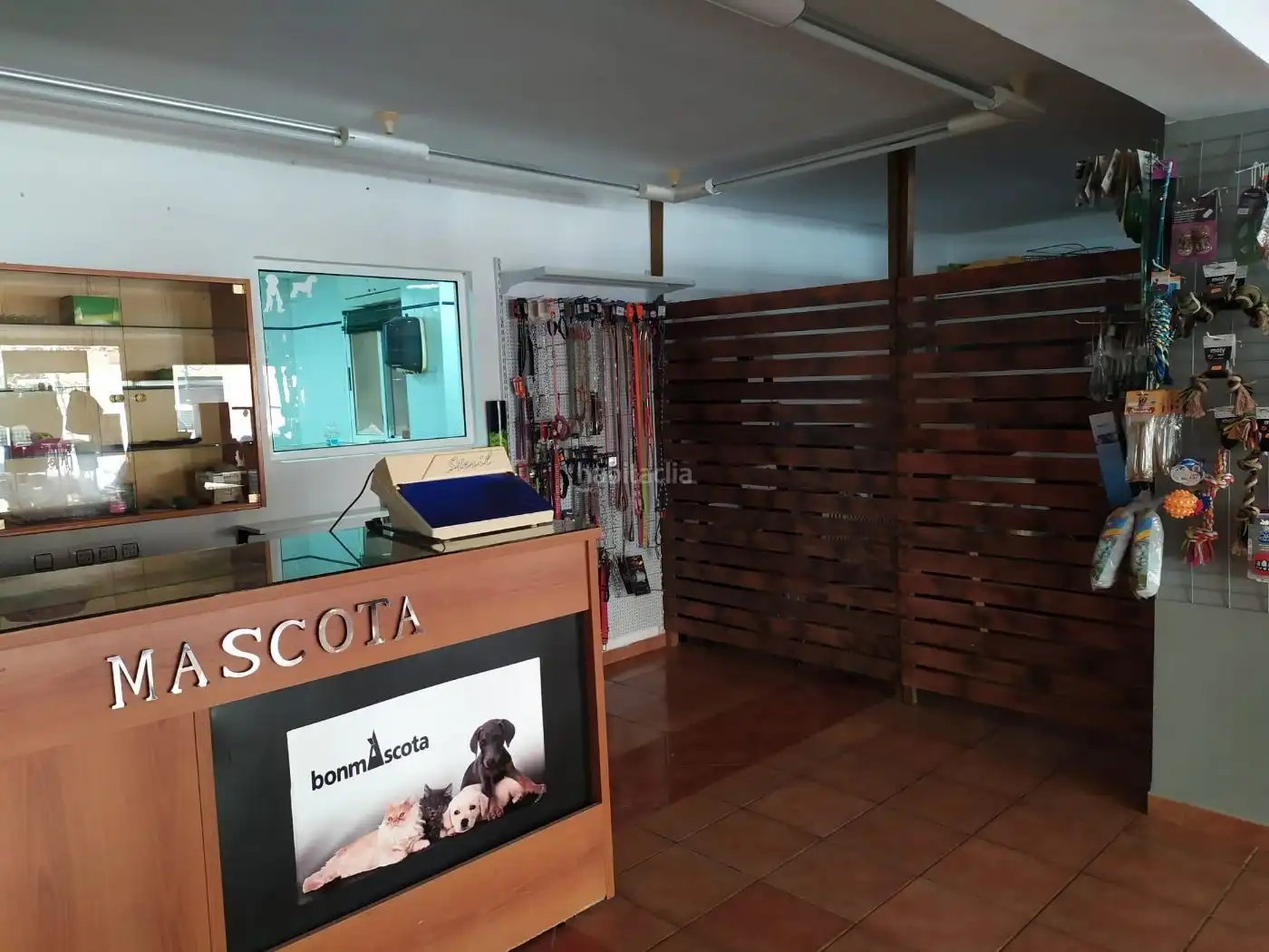 Local comercial en venda a Avenida Vicente Ferri 45, imagen 20