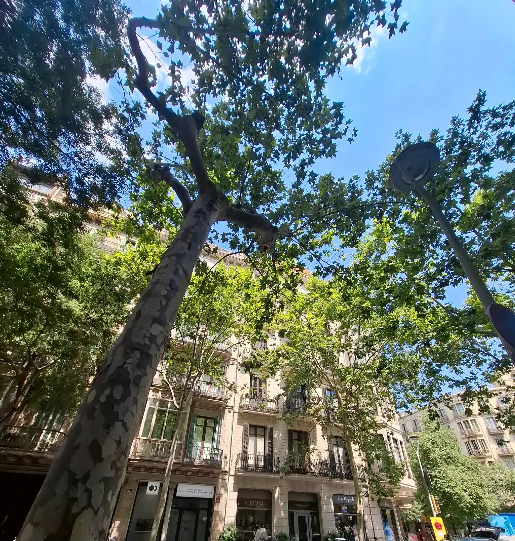 Vista exterior de Piso en venta en Barcelona con Aire acondicionado, Calefacción y Balcón