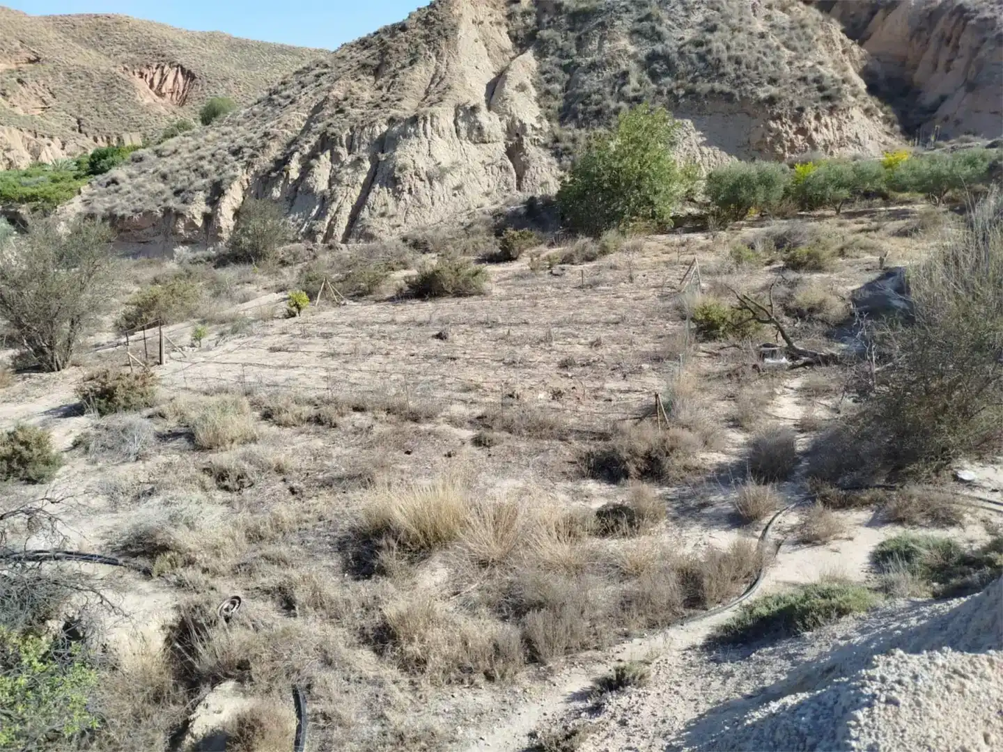 Finca rústica en venda en Gádor