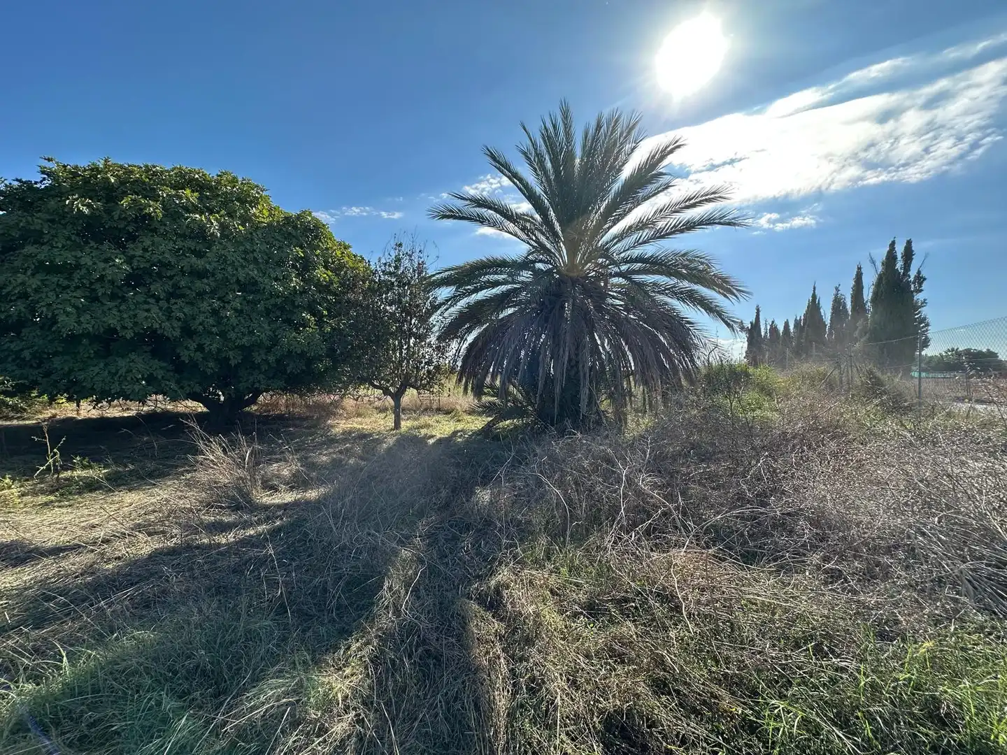 Finca rústica en venda en Fuente Vaqueros, Granada
