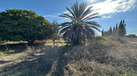 FINCA DE LABOR EN PEDRO RUIZ, GRANADA., imagen 3