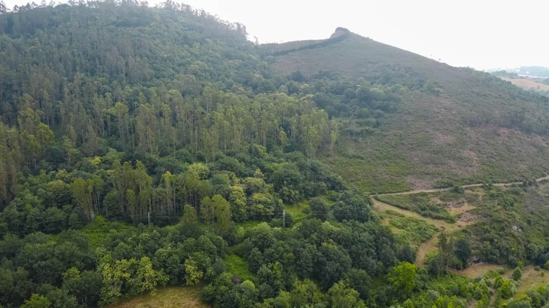 Casa o xalet en venda en Oviedo  amb Calefacció, Jardí privat i Terrassa