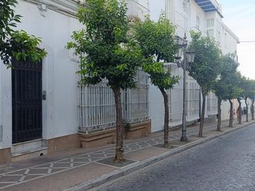 Casa in vendita a Centro