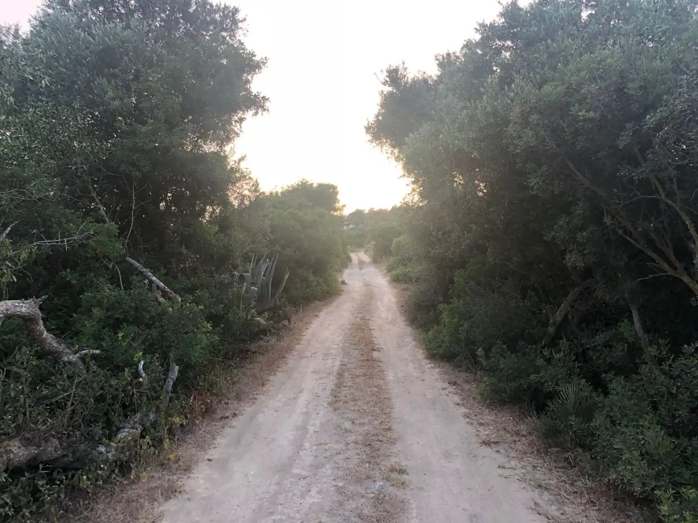 Terreny rústic en venda a El Palmar, imagen 11