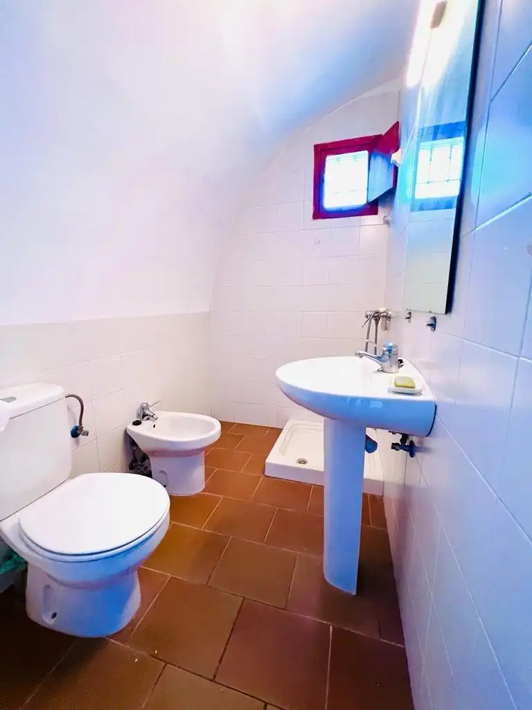 Casa rústica amb jardí en venda a San Juan de los Terreros, imagen 15