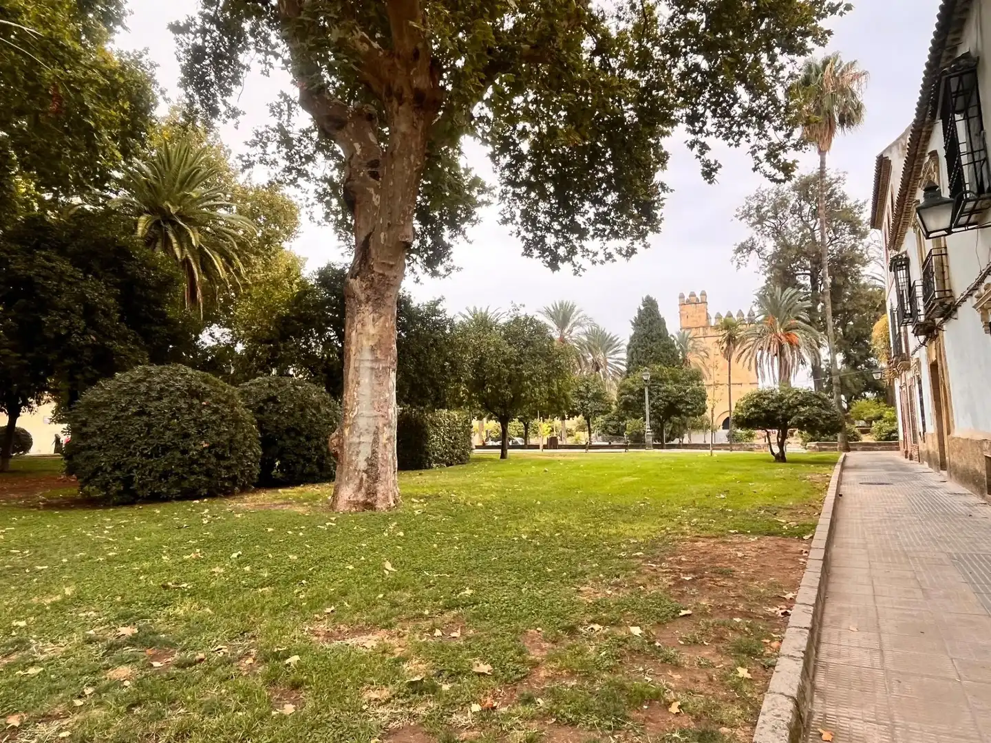 Apartment for sale in Plaza Plaza San Basilio, imagen 20
