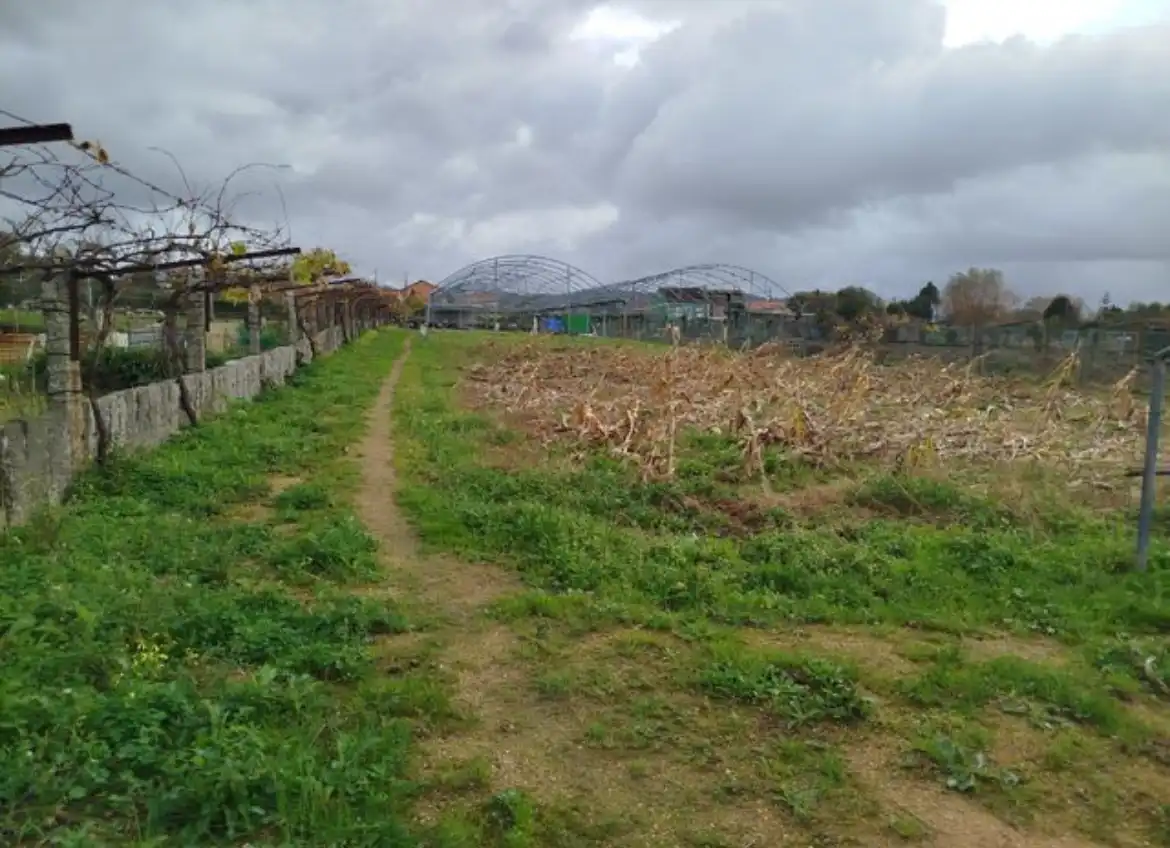 Terreno rustico in vendita a Lugar a Torre 35, imagen 6