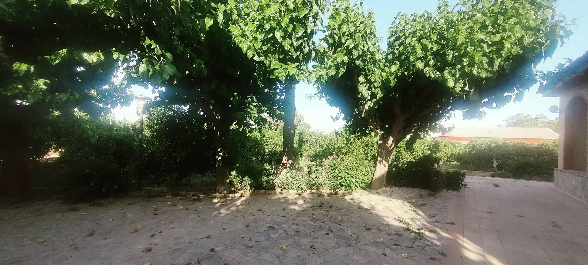 Jardí de Finca rústica en venda en Alhama de Murcia amb Jardí privat, Terrassa i Traster