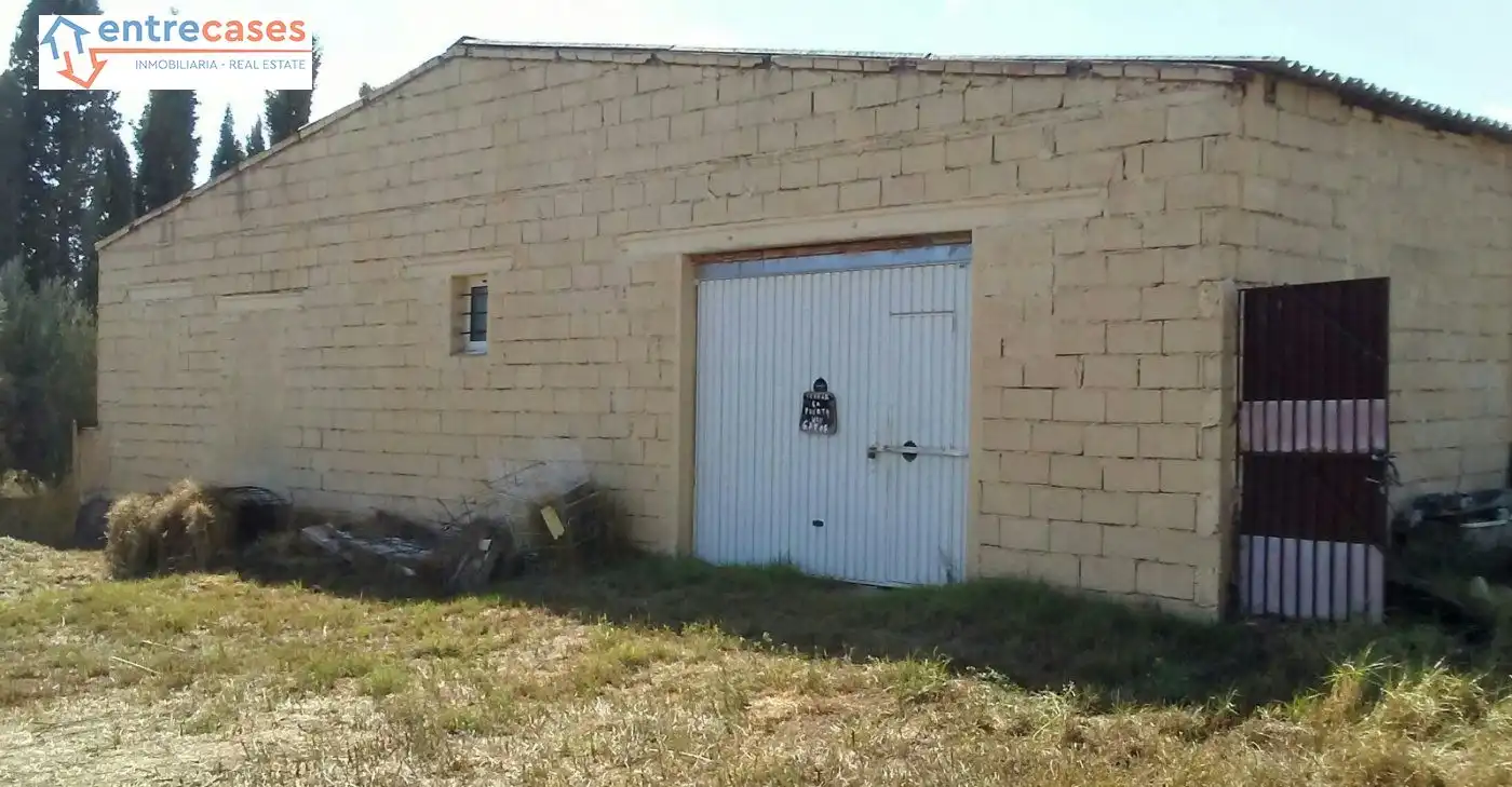 Rural land for sale in Albalat dels Tarongers, imagen 15