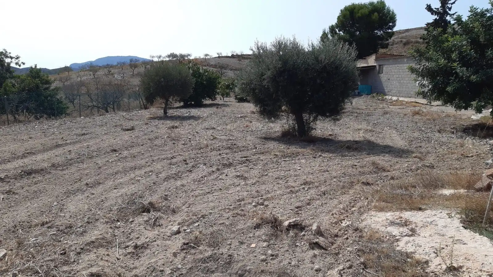 Casa con giardino in vendita a Pedanías Oeste, imagen 9