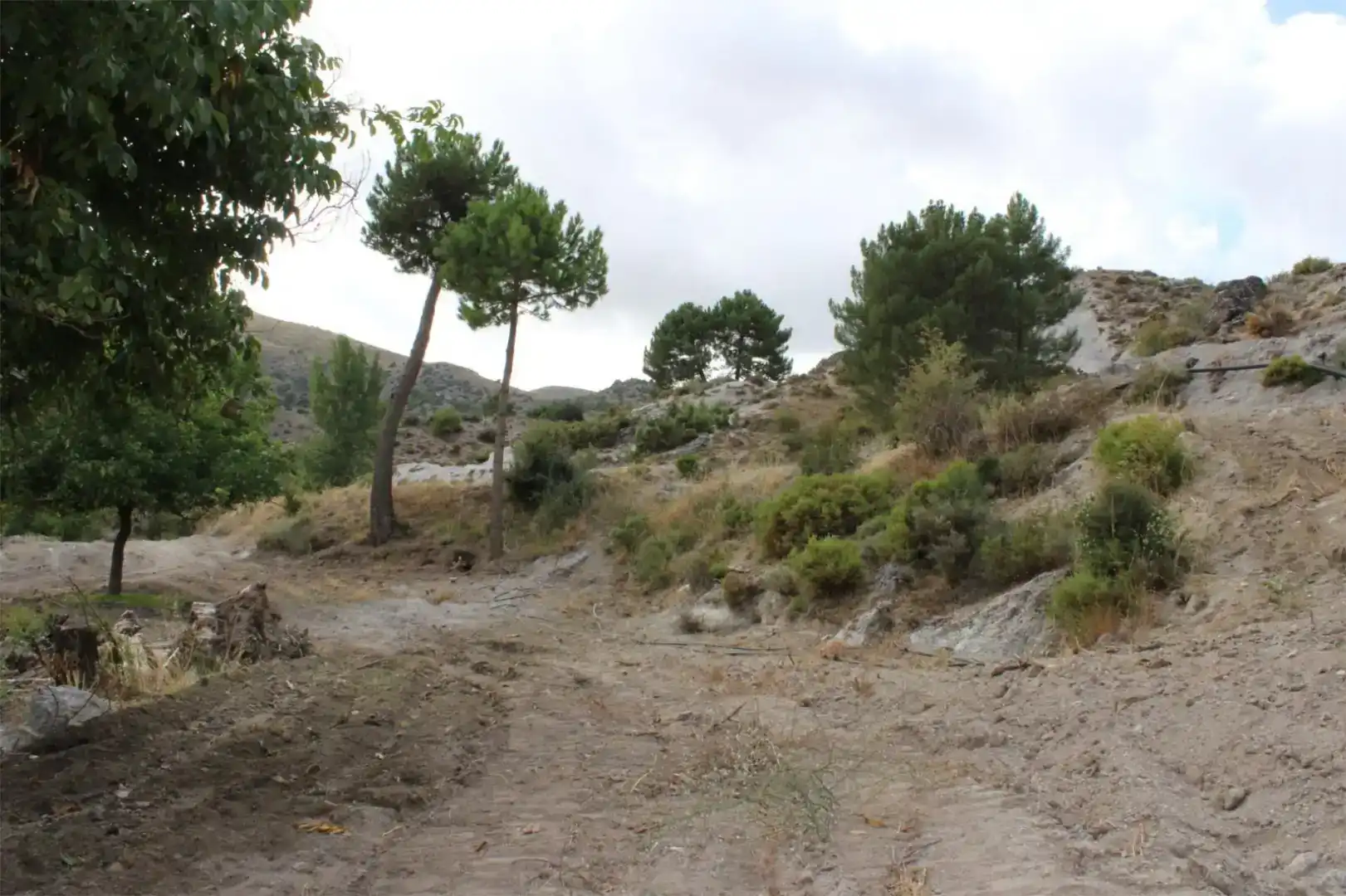 Finca rústica en venta en Quéntar
