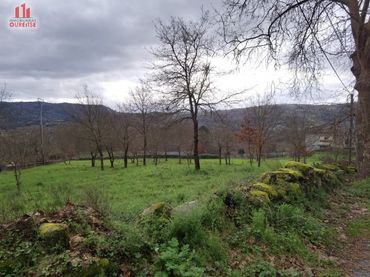 Terrenos y solares en venta en Coles