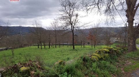FINCA URBANIZABLE CERCA DE RIVELA