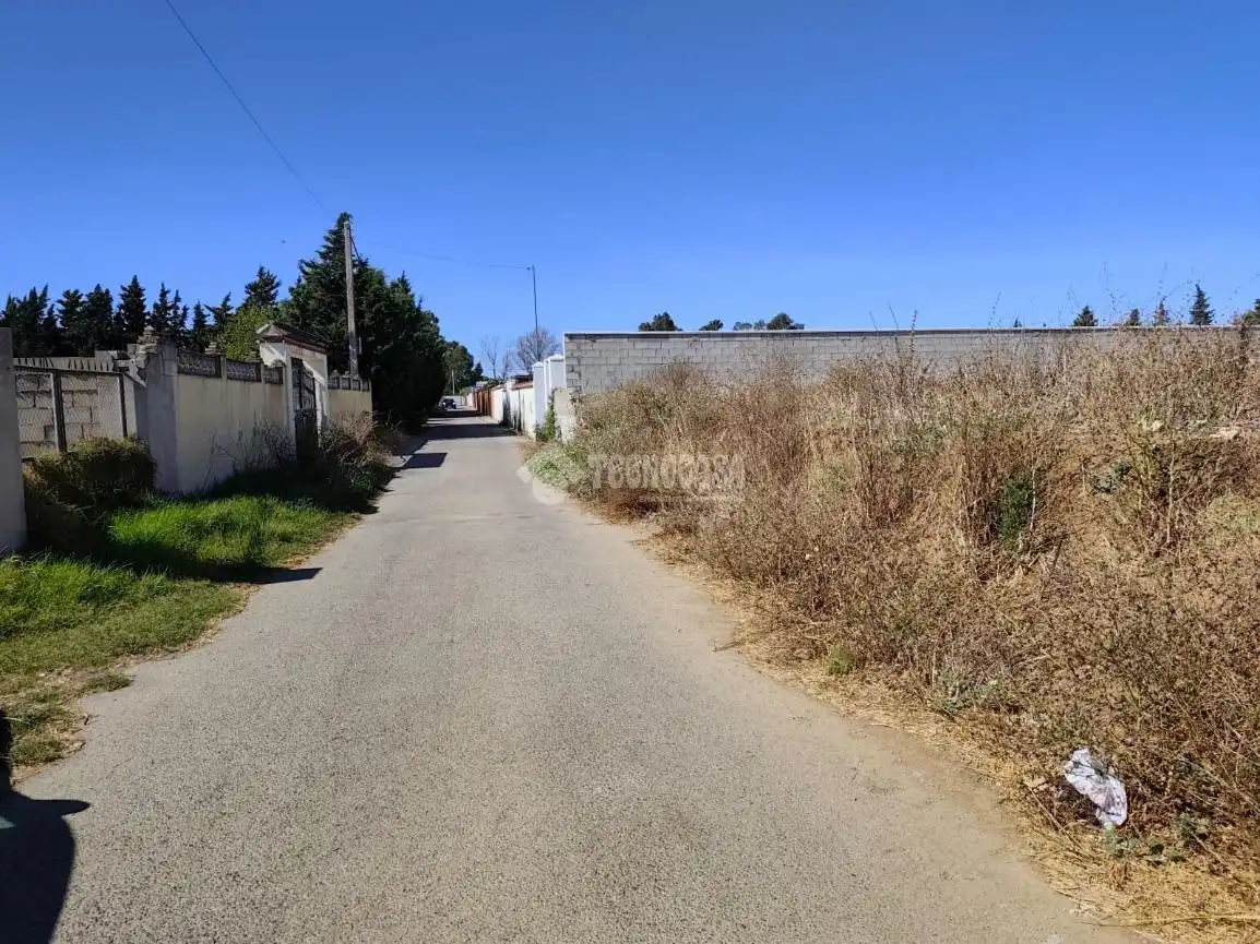 Terreno rústico en venta en Pelagatos - Pago del Humo, imagen 9