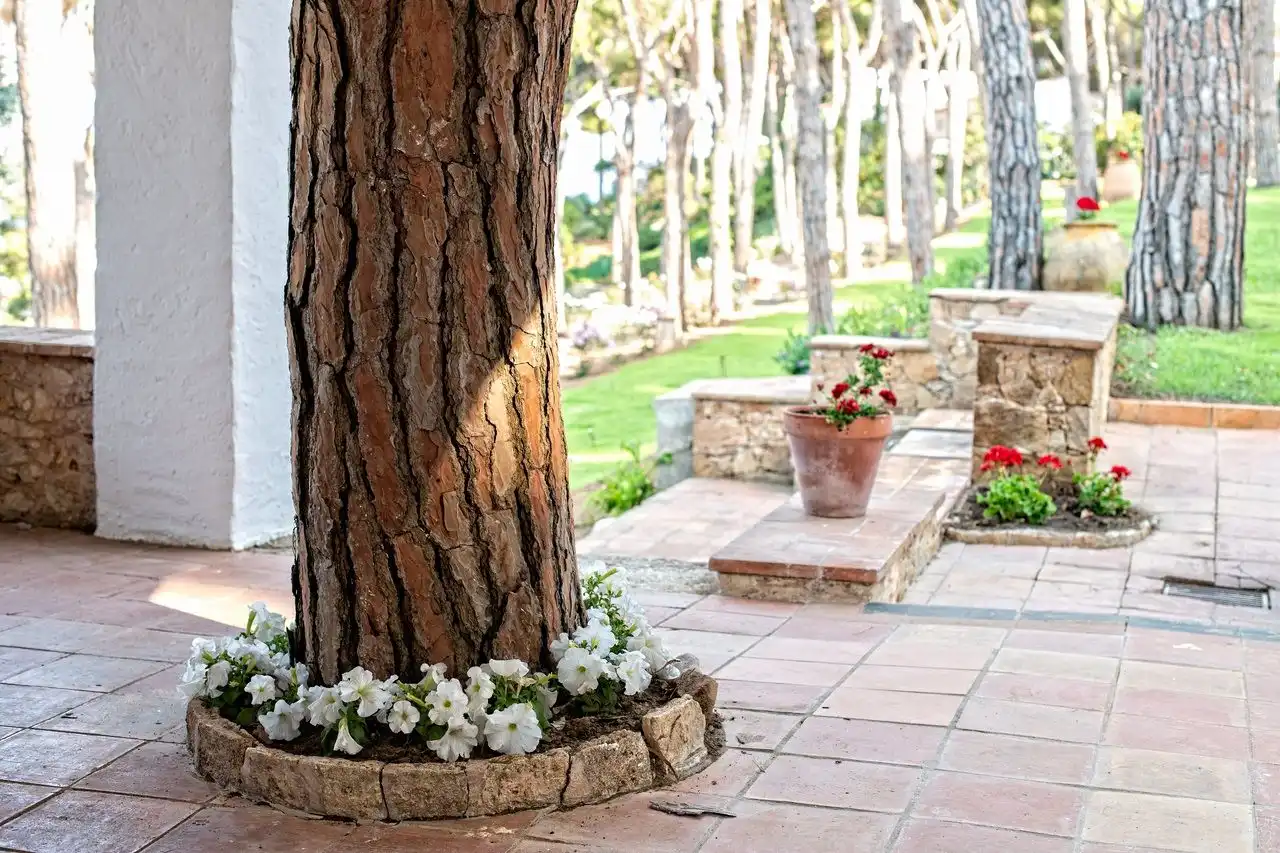 Terrace of Houses for sale in Palafrugell  with Heating, Terrace and Swimming Pool
