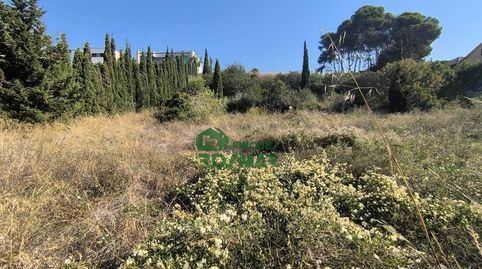 TERRENO EXCLUSIVO EN VENTA A 1 MINUTO DE LA PLAYA DE FENALS, imatge 5