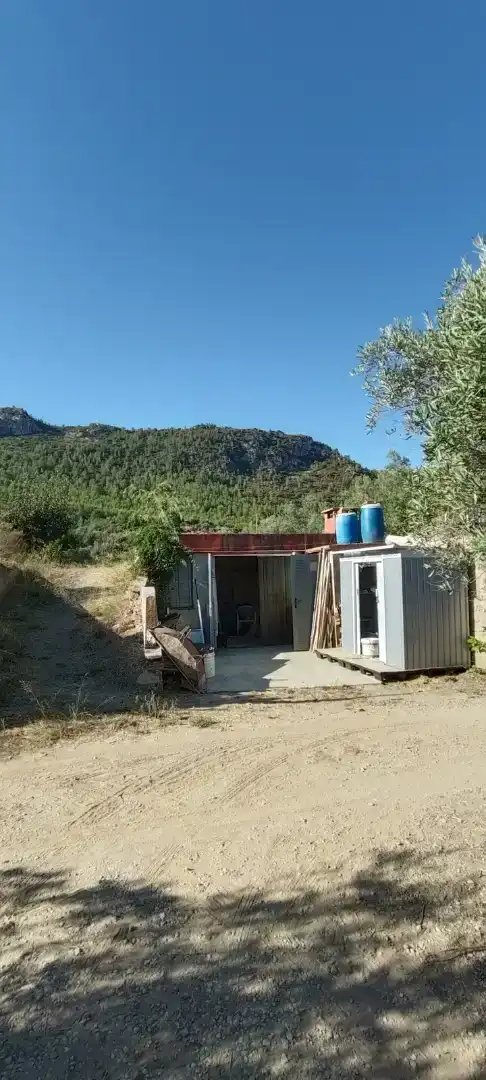 Vista exterior de Finca rústica en venda en Mogente / Moixent amb Piscina