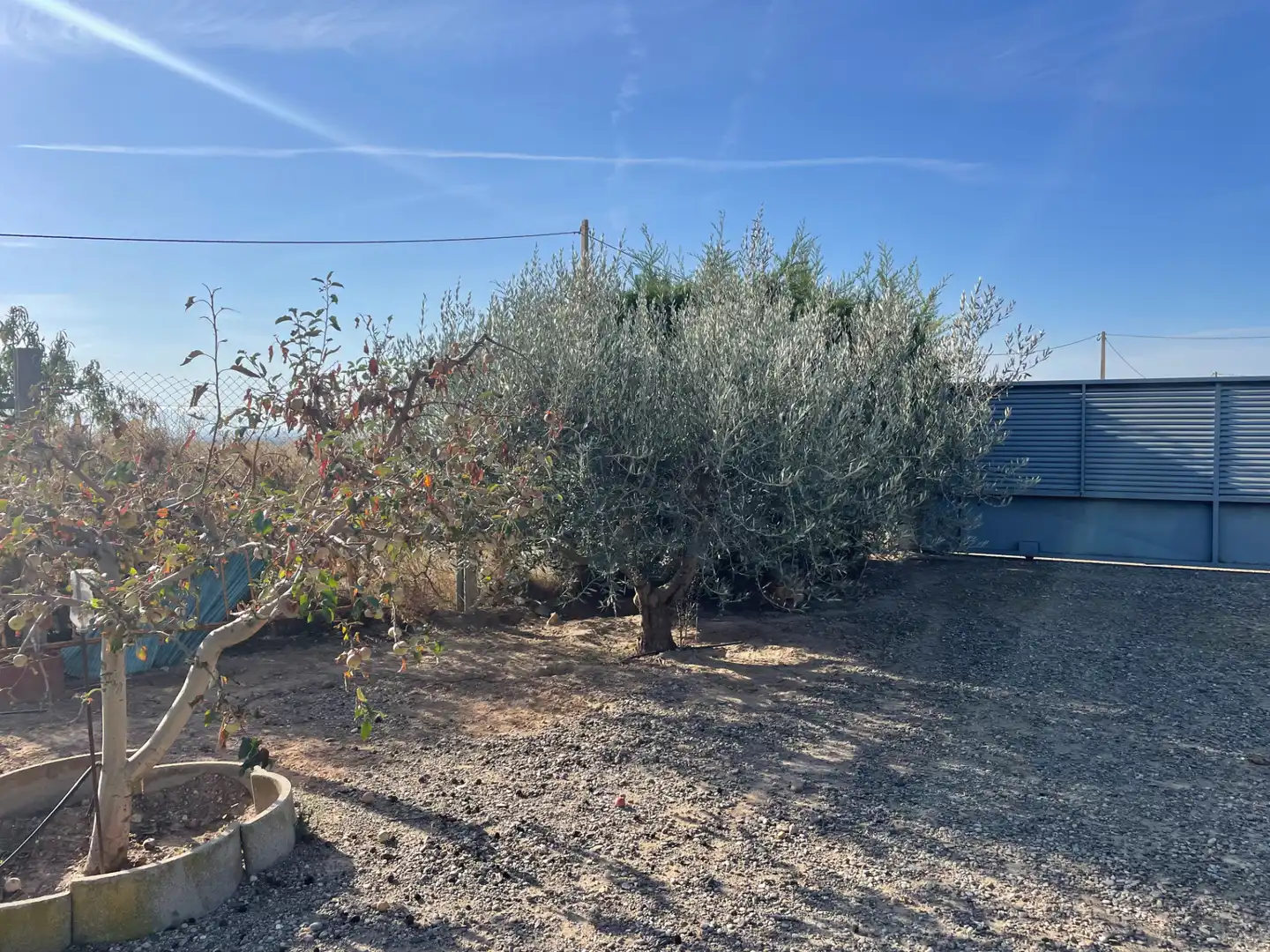 Casa o chalet en venta en Carrer Algerri, 25, Castelló de Farfanya