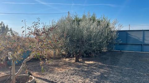 Foto 4 de Casa o xalet en venda a Carrer Algerri, 25, Castelló de Farfanya, Lleida