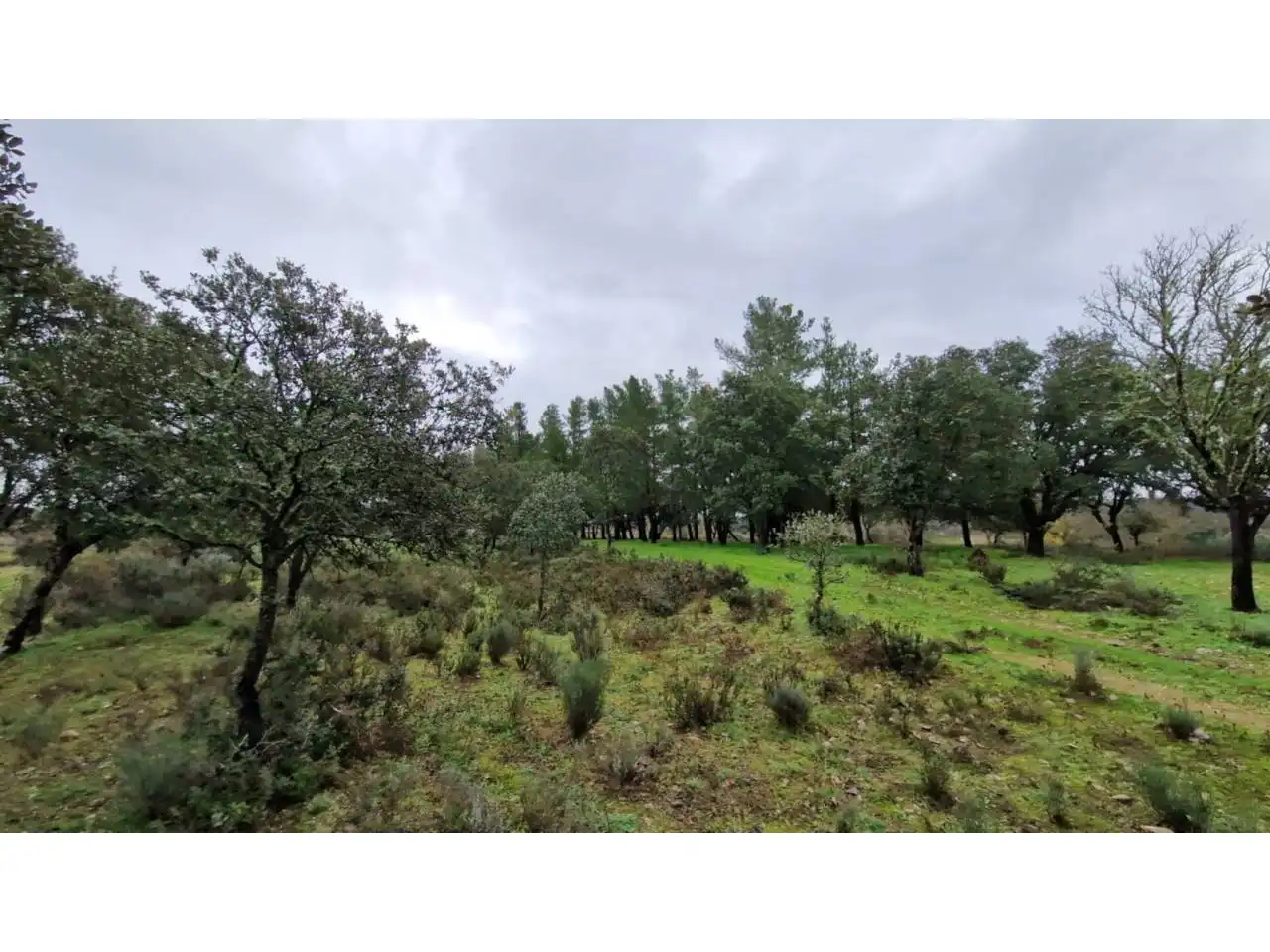 Terreno residenziale in vendita a Poligono 24 46, imagen 8