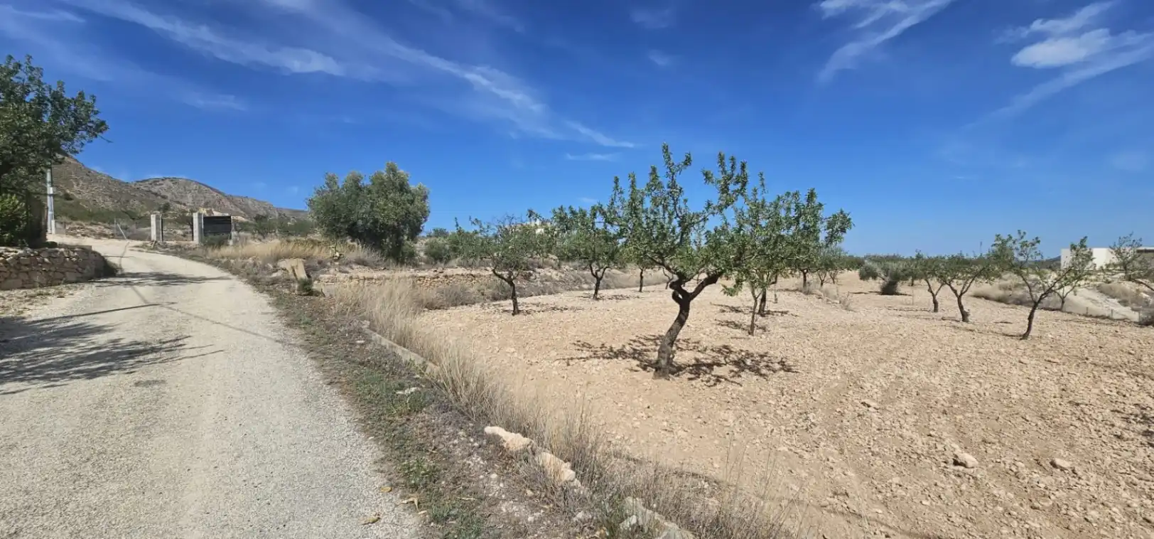 Wohnbaugrundstück zum Verkauf in Hondón de las Nieves / El Fondó de les Neus, imagen 14