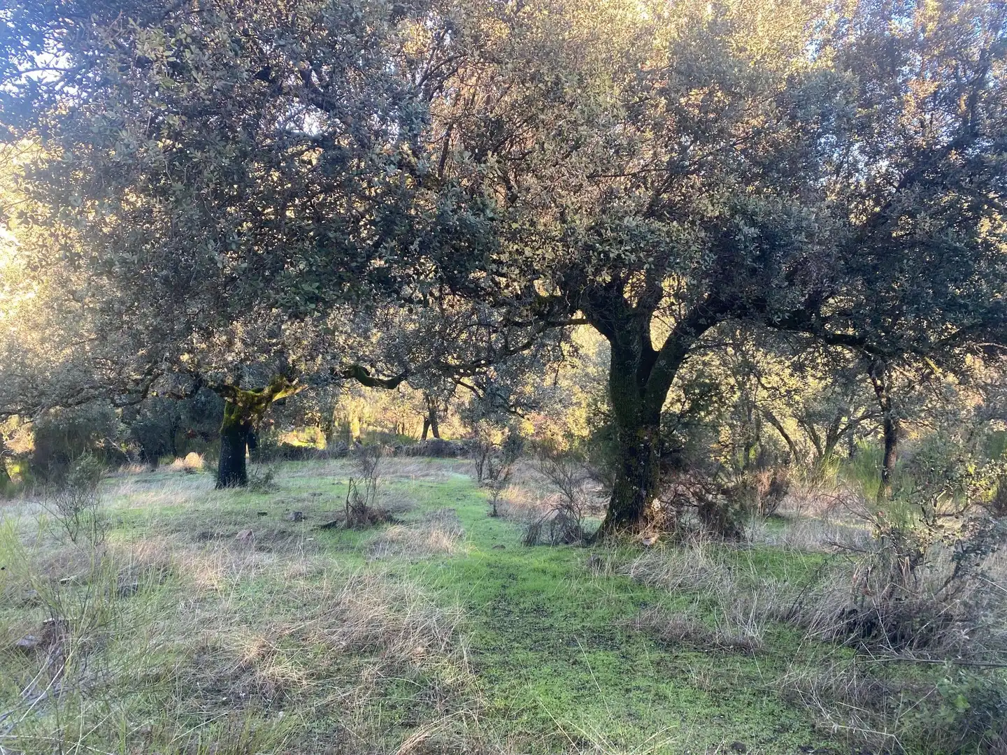 Country house zum Verkauf in El Real de San Vicente mit Klimaanlage, Heizung und Privatgarten