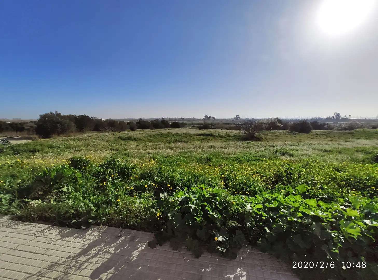 Residential land for sale in Nord, imagen 10